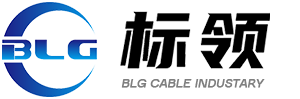 Changzhou BLG Electronic Technology Co.,Ltd