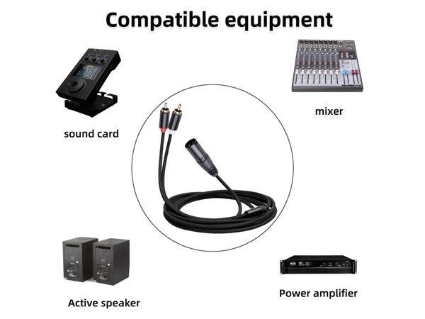 2 RCA - 1 XLR MALE