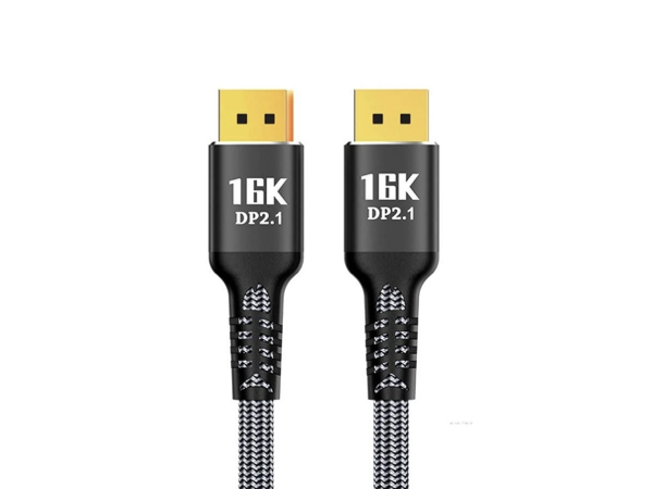 DP2.1